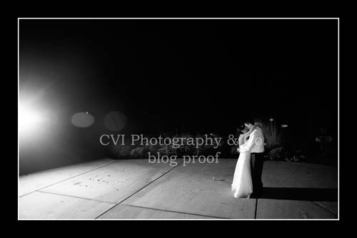 Charleston Wedding Photographers Virgil Bunao Leslie and David {modern weddings }  
