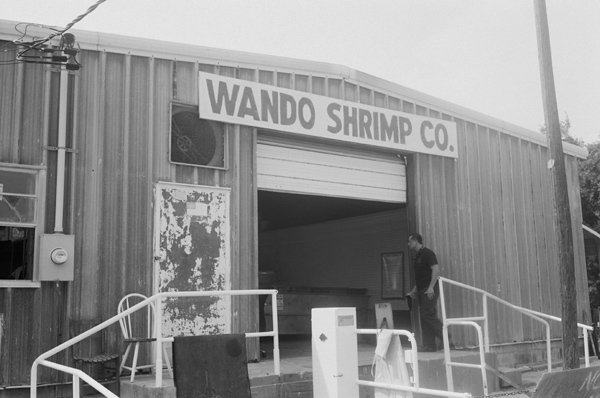 Charleston Wedding Photographers Virgil Bunao Wando Shrimp Co.  