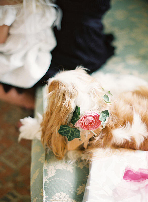 Virgil Bunao Photography, Charleston Wedding Photographer, South Carolina, Film