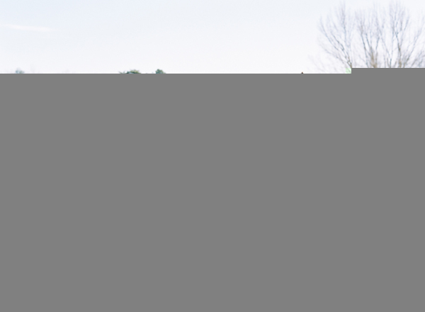 Charleston Wedding Photographers Virgil Bunao Meredith and Austin | Gastonia Wedding | Part One