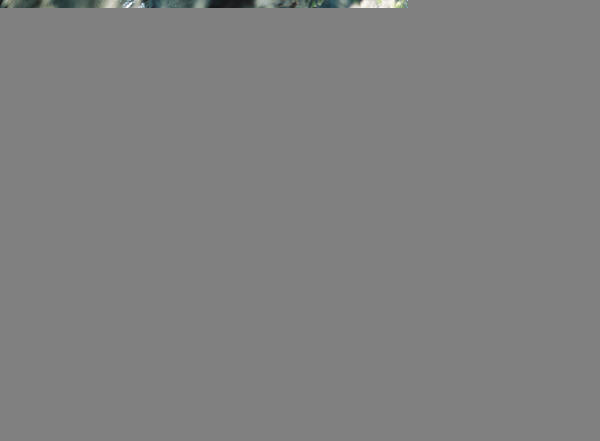BlogReady_Gardner-16