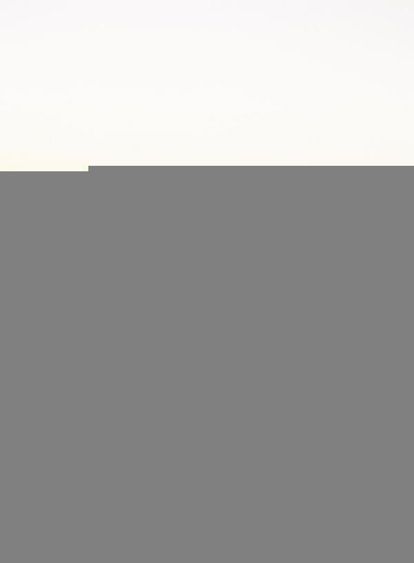 BlogReady_Gardner-25